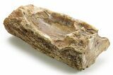 Polished Petrified Wood Soap Dish - Madagascar #378871-1